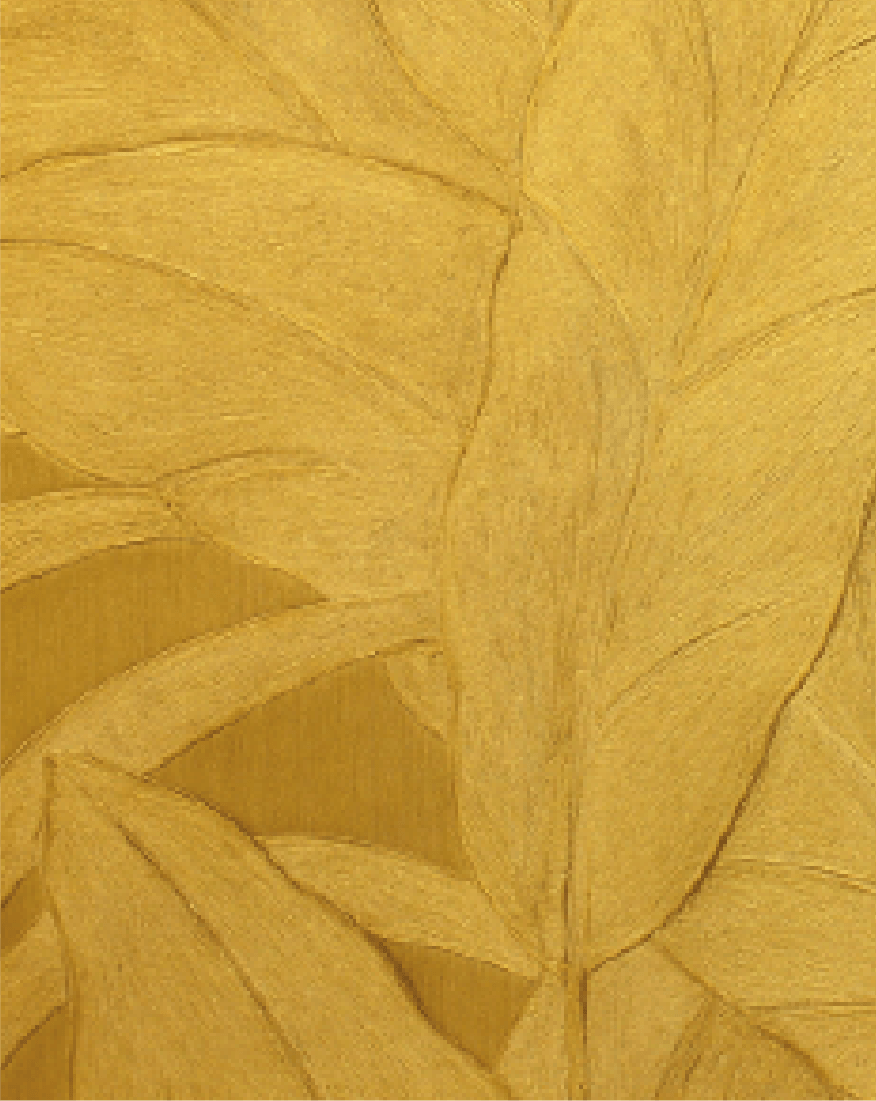 background-image